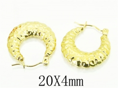 HY Wholesale 316L Stainless Steel Popular Jewelry Earrings-HY70E0435LS