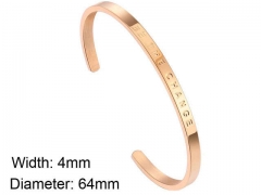 HY Wholesale Stainless Steel 316L Fashion Bangle-HY0076B301