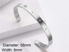 HY Wholesale Stainless Steel 316L Fashion Bangle-HY0076B018