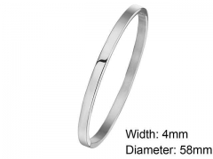 HY Wholesale Stainless Steel 316L Fashion Bangle-HY0076B134