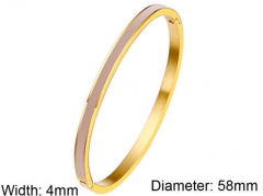 HY Wholesale Stainless Steel 316L Fashion Bangle-HY0076B023