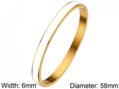 HY Wholesale Stainless Steel 316L Fashion Bangle-HY0076B030