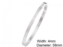 HY Wholesale Stainless Steel 316L Fashion Bangle-HY0076B086