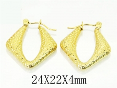 HY Wholesale 316L Stainless Steel Popular Jewelry Earrings-HY70E0513LF