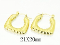 HY Wholesale 316L Stainless Steel Popular Jewelry Earrings-HY70E0523LX