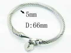 HY Wholesale Bangles Stainless Steel 316L Fashion Bangle-HY51B0199HMC