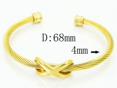 HY Wholesale Bangles Stainless Steel 316L Fashion Bangle-HY38B0731HNZ