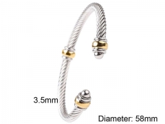 HY Wholesale Bangle Stainless Steel 316L Jewelry Bangle-HY0116B018