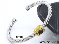 HY Wholesale Bangle Stainless Steel 316L Jewelry Bangle-HY0116B052