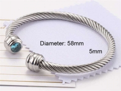 HY Wholesale Bangle Stainless Steel 316L Jewelry Bangle-HY0116B094