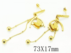 HY Wholesale Earrings 316L Stainless Steel Earrings-HY34E0013LG