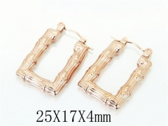 HY Wholesale Earrings 316L Stainless Steel Earrings-HY70E0841LB