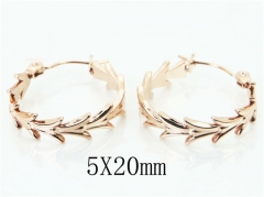 HY Wholesale Earrings 316L Stainless Steel Earrings-HY70E0836LR