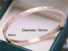 HY Wholesale Bangle Stainless Steel 316L Jewelry Bangle-HY0122B107