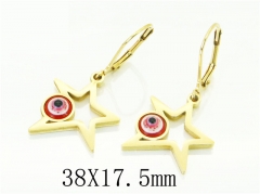 HY Wholesale Earrings 316L Stainless Steel Earrings-HY12E0268KR