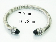 HY Wholesale Bangles Stainless Steel 316L Fashion Bangle-HY38B0801IIC