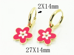 HY Wholesale Earrings 316L Stainless Steel Earrings-HY32E0226HHL