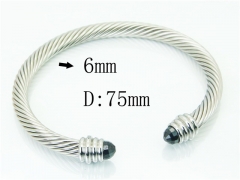 HY Wholesale Bangles Stainless Steel 316L Fashion Bangle-HY38B0856HLZ