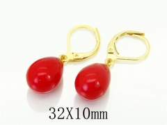 HY Wholesale Earrings 316L Stainless Steel Earrings-HY12E0286IL