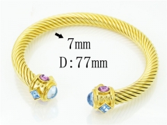 HY Wholesale Bangles Stainless Steel 316L Fashion Bangle-HY38B0777ILT