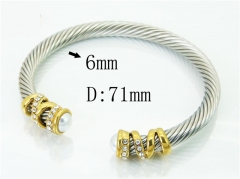 HY Wholesale Bangles Stainless Steel 316L Fashion Bangle-HY38B0773IIB