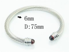 HY Wholesale Bangles Stainless Steel 316L Fashion Bangle-HY38B0855HLA