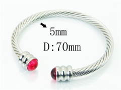 HY Wholesale Bangles Stainless Steel 316L Fashion Bangle-HY38B0834HLR