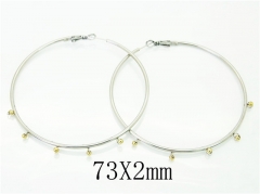 HY Wholesale Earrings 316L Stainless Steel Earrings-HY52E0120HJS