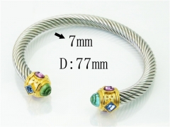 HY Wholesale Bangles Stainless Steel 316L Fashion Bangle-HY38B0782IIZ