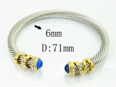 HY Wholesale Bangles Stainless Steel 316L Fashion Bangle-HY38B0775IIE