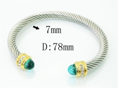 HY Wholesale Bangles Stainless Steel 316L Fashion Bangle-HY38B0811IJE