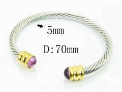 HY Wholesale Bangles Stainless Steel 316L Fashion Bangle-HY38B0838HME