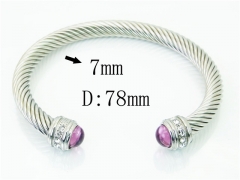 HY Wholesale Bangles Stainless Steel 316L Fashion Bangle-HY38B0805IIS