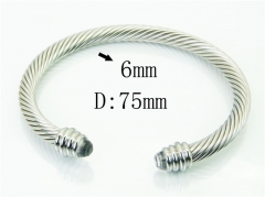 HY Wholesale Bangles Stainless Steel 316L Fashion Bangle-HY38B0850HLA