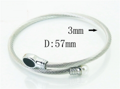 HY Wholesale Bangles Stainless Steel 316L Fashion Bangle-HY38B0756PZ