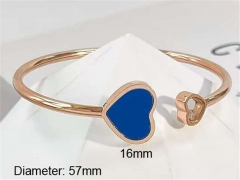 HY Wholesale Bangle Stainless Steel 316L Jewelry Bangle-HY0123B061