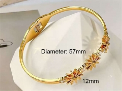 HY Wholesale Bangle Stainless Steel 316L Jewelry Bangle-HY0123B170