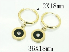 HY Wholesale Earrings 316L Stainless Steel Earrings-HY32E0248HHD