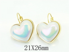 HY Wholesale Earrings 316L Stainless Steel Earrings-HY32E0233OL