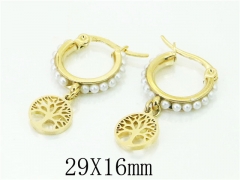 HY Wholesale Earrings 316L Stainless Steel Earrings-HY58E1797KQ