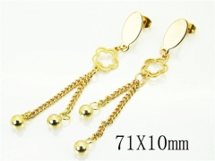 HY Wholesale Earrings 316L Stainless Steel Earrings-HY60E0871KD