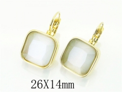 HY Wholesale Earrings 316L Stainless Steel Earrings-HY32E0307HJQ