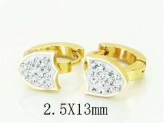 HY Wholesale Earrings 316L Stainless Steel Earrings-HY60E0898JLX