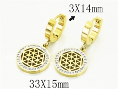 HY Wholesale Earrings 316L Stainless Steel Earrings-HY32E0352PQ