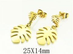 HY Wholesale Earrings 316L Stainless Steel Earrings-HY80E0622LS