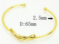 HY Wholesale Bangles Jewelry Stainless Steel 316L Fashion Bangle-HY06B0103HAA