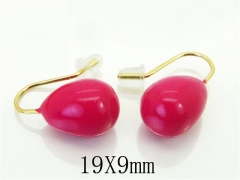 HY Wholesale Earrings 316L Stainless Steel Earrings-HY32E0374HHL