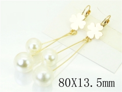 HY Wholesale Earrings 316L Stainless Steel Popular Jewelry Earrings-HY60E1197JT