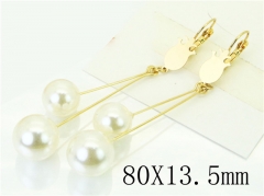 HY Wholesale Earrings 316L Stainless Steel Popular Jewelry Earrings-HY60E1219JE