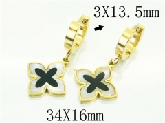 HY Wholesale Earrings 316L Stainless Steel Popular Jewelry Earrings-HY32E0400NL